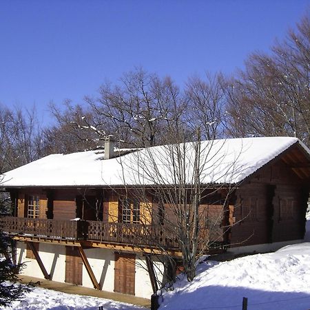 Appartement Chalet Renove 6 Pers Avec Terrasse Proche Evian, Ski Et Randonnee - Fr-1-498-29 Saint-Paul-en-Chablais Dış mekan fotoğraf